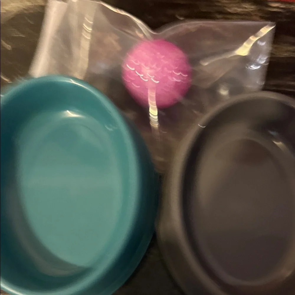 Teal and Gray Pet Bowls with cat toys